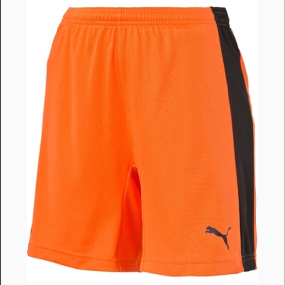 Puma Shorts New Puma Womens Shorts Poshmark